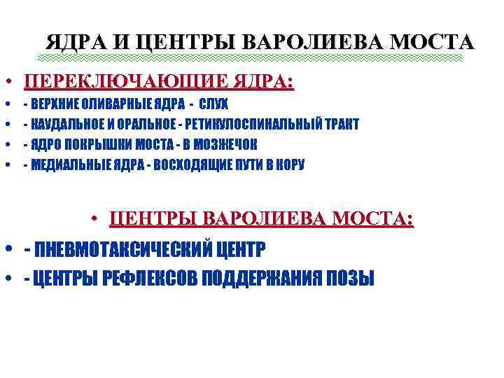 ЯДРА И ЦЕНТРЫ ВАРОЛИЕВА МОСТА • ПЕРЕКЛЮЧАЮЩИЕ ЯДРА: • • - ВЕРХНИЕ ОЛИВАРНЫЕ ЯДРА