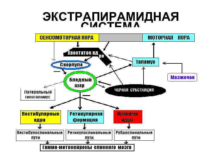 ЭКСТРАПИРАМИДНАЯ СИСТЕМА 