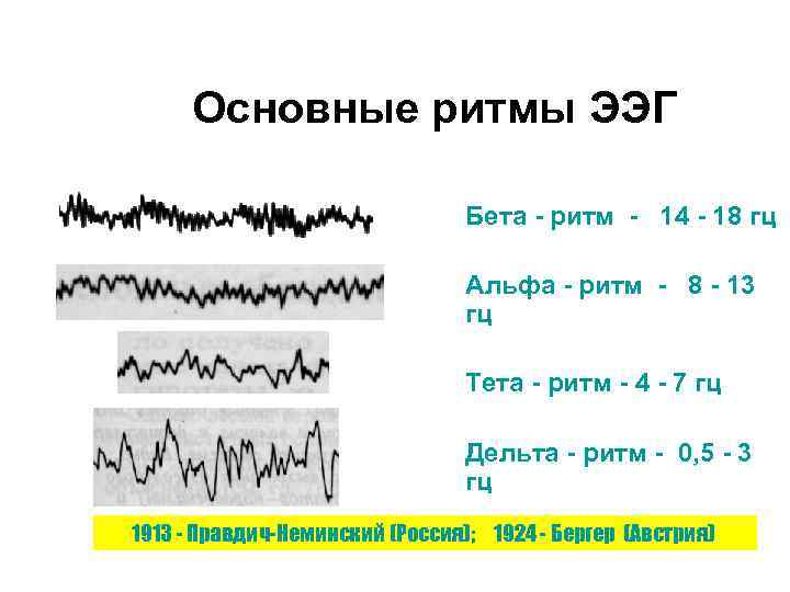 Основные ритмы ЭЭГ n n Бета - ритм - 14 - 18 гц Альфа