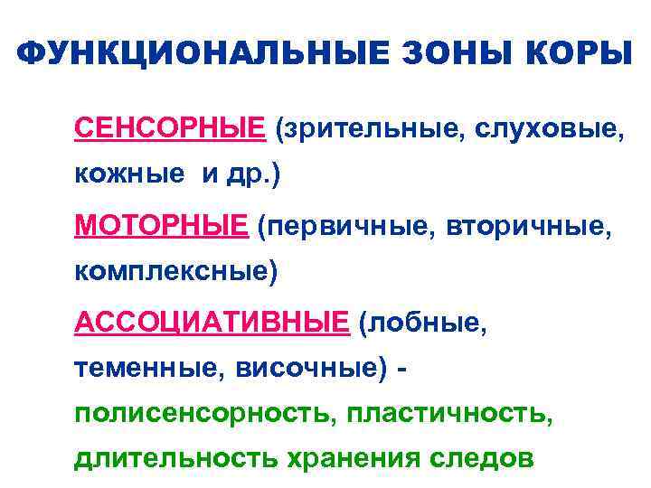 ФУНКЦИОНАЛЬНЫЕ ЗОНЫ КОРЫ n СЕНСОРНЫЕ (зрительные, слуховые, кожные и др. ) n МОТОРНЫЕ (первичные,