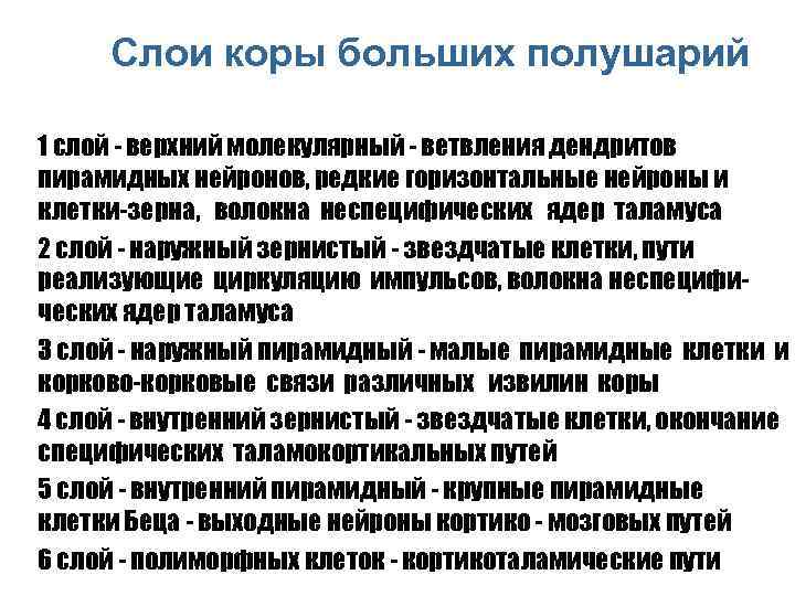 Слои коры больших полушарий n n n 1 слой - верхний молекулярный - ветвления