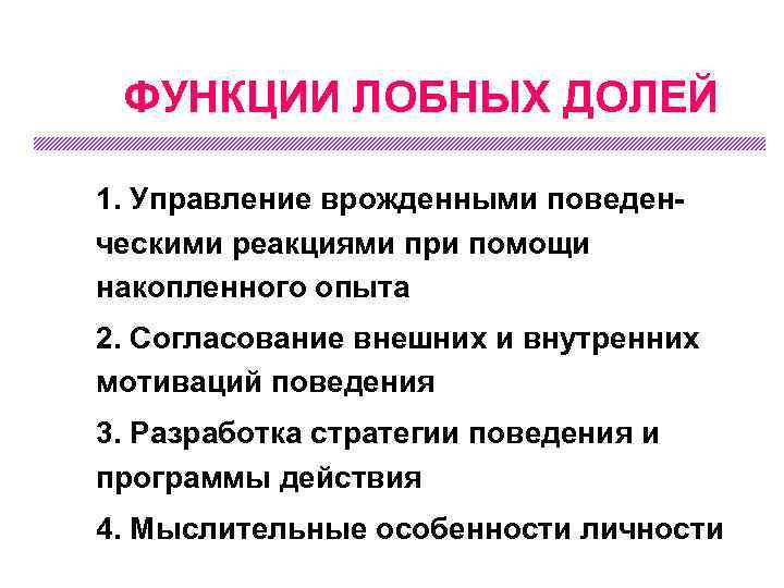 ФУНКЦИИ ЛОБНЫХ ДОЛЕЙ n n 1. Управление врожденными поведенческими реакциями при помощи накопленного опыта