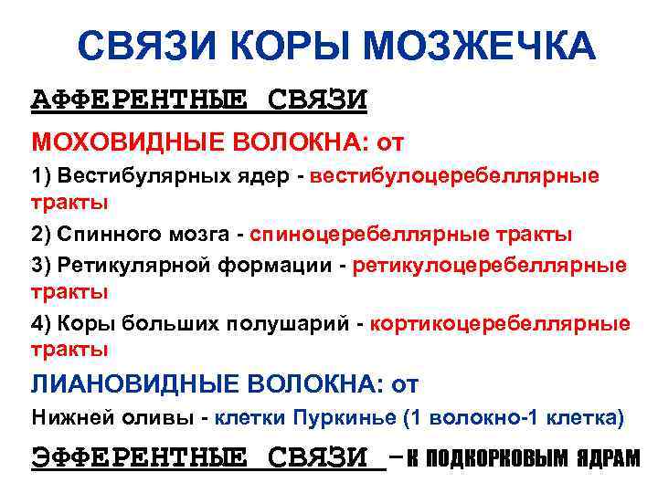 СВЯЗИ КОРЫ МОЗЖЕЧКА n АФФЕРЕНТНЫЕ СВЯЗИ n МОХОВИДНЫЕ ВОЛОКНА: от n n 1) Вестибулярных