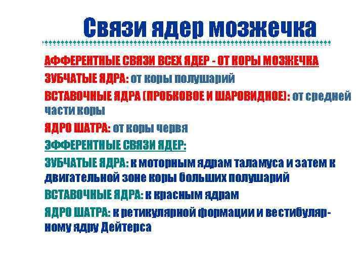 Связи ядер мозжечка n n n n АФФЕРЕНТНЫЕ СВЯЗИ ВСЕХ ЯДЕР - ОТ КОРЫ