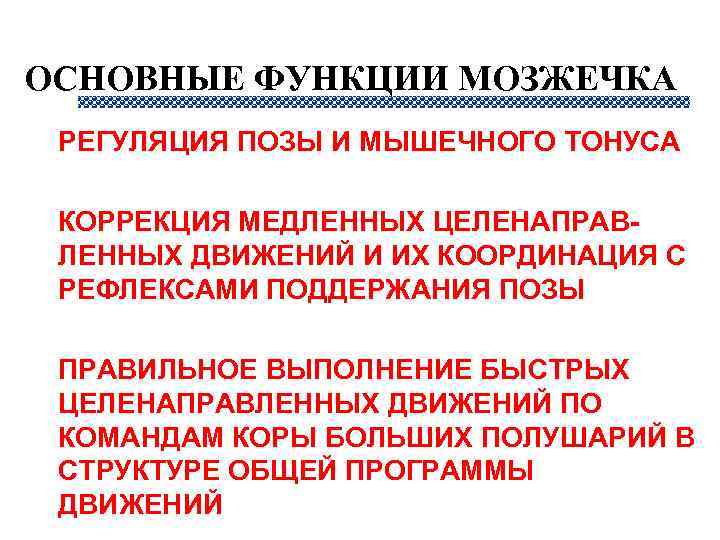 ОСНОВНЫЕ ФУНКЦИИ МОЗЖЕЧКА n n n РЕГУЛЯЦИЯ ПОЗЫ И МЫШЕЧНОГО ТОНУСА КОРРЕКЦИЯ МЕДЛЕННЫХ ЦЕЛЕНАПРАВЛЕННЫХ