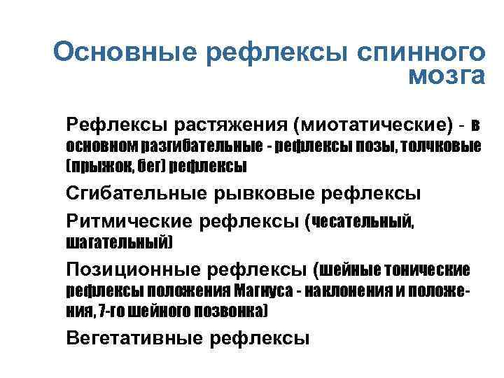 Основные рефлексы спинного мозга n Рефлексы растяжения (миотатические) - в основном разгибательные - рефлексы