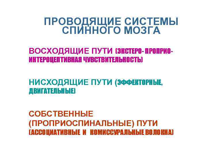 ПРОВОДЯЩИЕ СИСТЕМЫ СПИННОГО МОЗГА n ВОСХОДЯЩИЕ ПУТИ (ЭКСТЕРО- ПРОПРИОИНТЕРОЦЕПТИВНАЯ ЧУВСТВИТЕЛЬНОСТЬ) n НИСХОДЯЩИЕ ПУТИ (ЭФФЕКТОРНЫЕ,