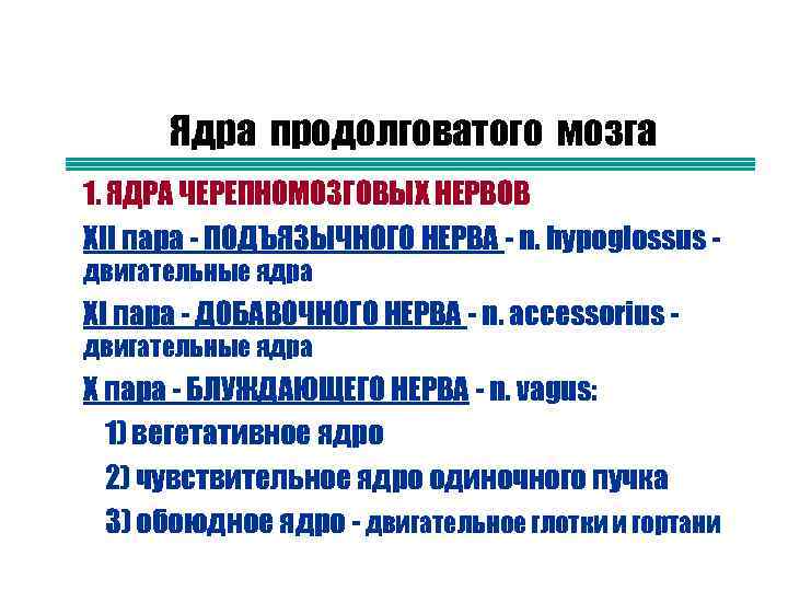 Ядра продолговатого мозга n n 1. ЯДРА ЧЕРЕПНОМОЗГОВЫХ НЕРВОВ XII пара - ПОДЪЯЗЫЧНОГО НЕРВА