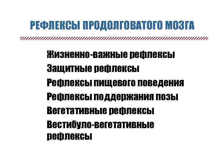 РЕФЛЕКСЫ ПРОДОЛГОВАТОГО МОЗГА n n n Жизненно-важные рефлексы Защитные рефлексы Рефлексы пищевого поведения Рефлексы