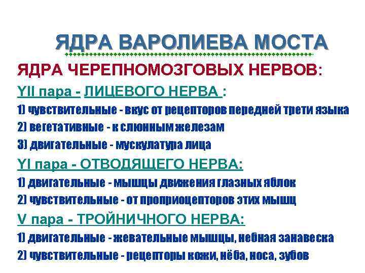 ЯДРА ВАРОЛИЕВА МОСТА n ЯДРА ЧЕРЕПНОМОЗГОВЫХ НЕРВОВ: n YII пара - ЛИЦЕВОГО НЕРВА :