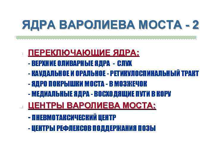 ЯДРА ВАРОЛИЕВА МОСТА - 2 n n n ПЕРЕКЛЮЧАЮЩИЕ ЯДРА: - ВЕРХНИЕ ОЛИВАРНЫЕ ЯДРА