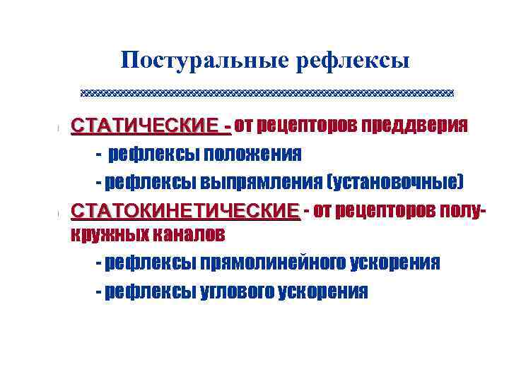 Постуральные рефлексы n n n СТАТИЧЕСКИЕ - от рецепторов преддверия - рефлексы положения -