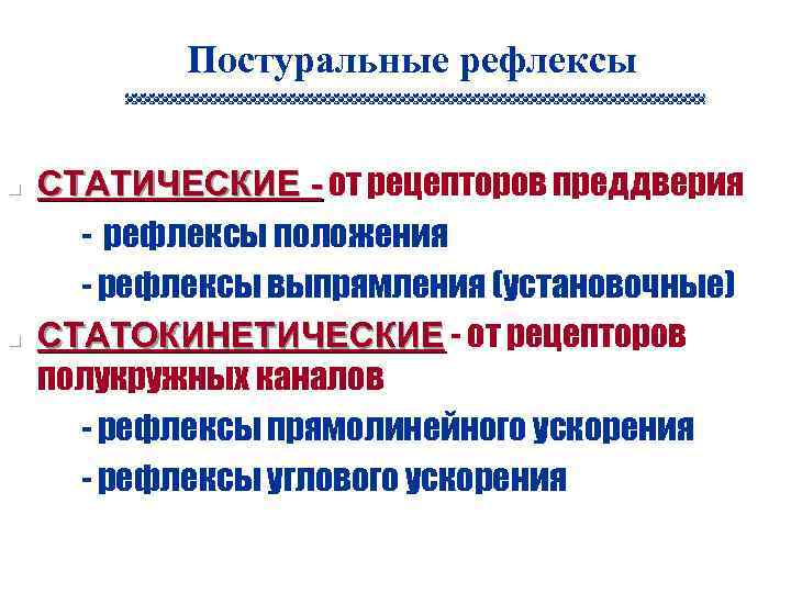 Постуральные рефлексы n n n СТАТИЧЕСКИЕ - от рецепторов преддверия - рефлексы положения -