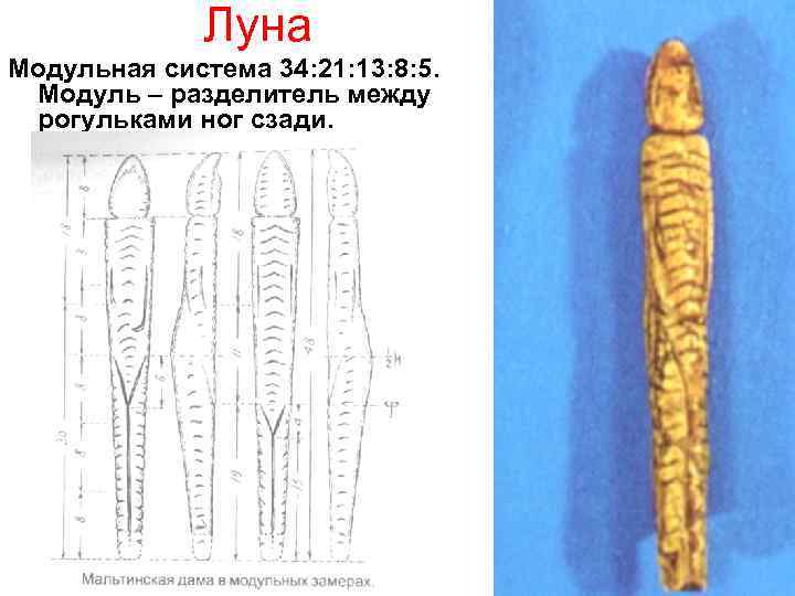 Луна Модульная система 34: 21: 13: 8: 5. Модуль – разделитель между рогульками ног