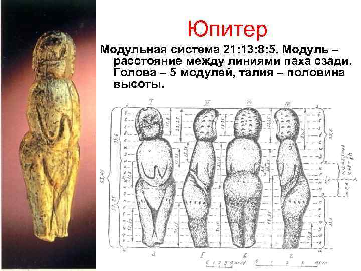 Юпитер Модульная система 21: 13: 8: 5. Модуль – расстояние между линиями паха сзади.