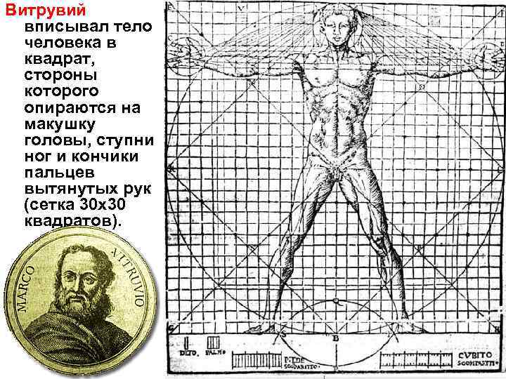 Витрувий вписывал тело человека в квадрат, стороны которого опираются на макушку головы, ступни ног