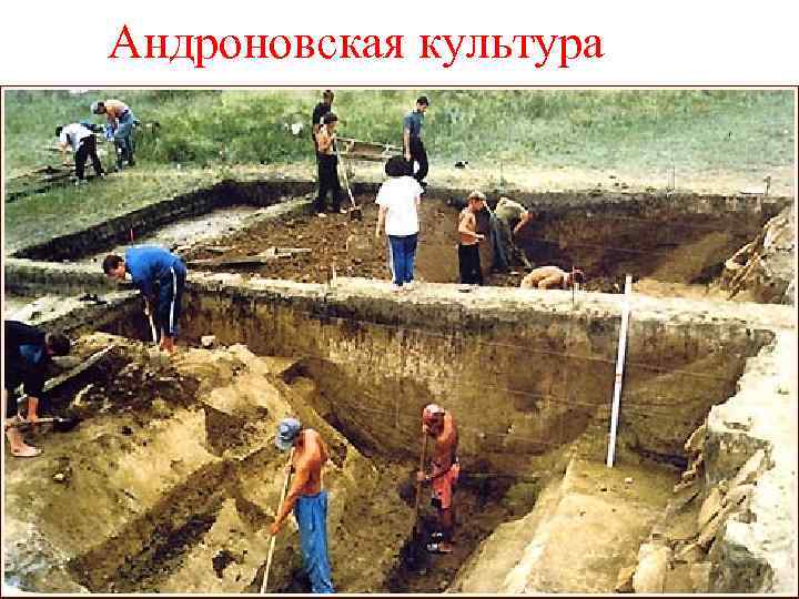 Андроновская культура 