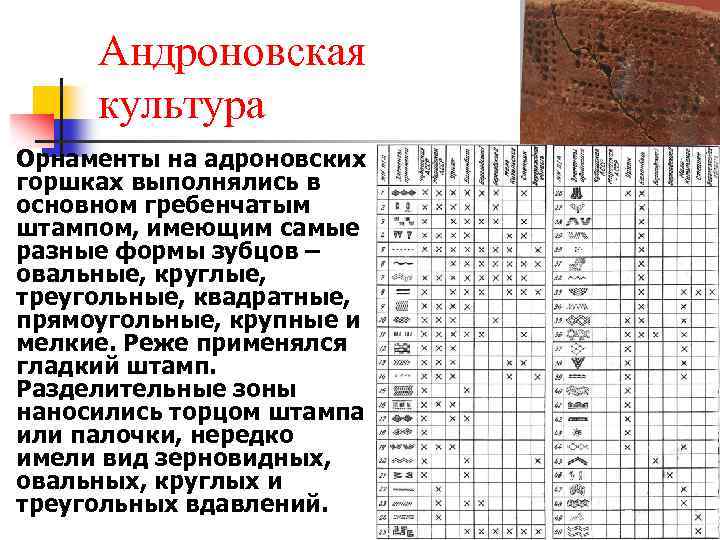 n Андроновская культура Орнаменты на адроновских горшках выполнялись в основном гребенчатым штампом, имеющим самые