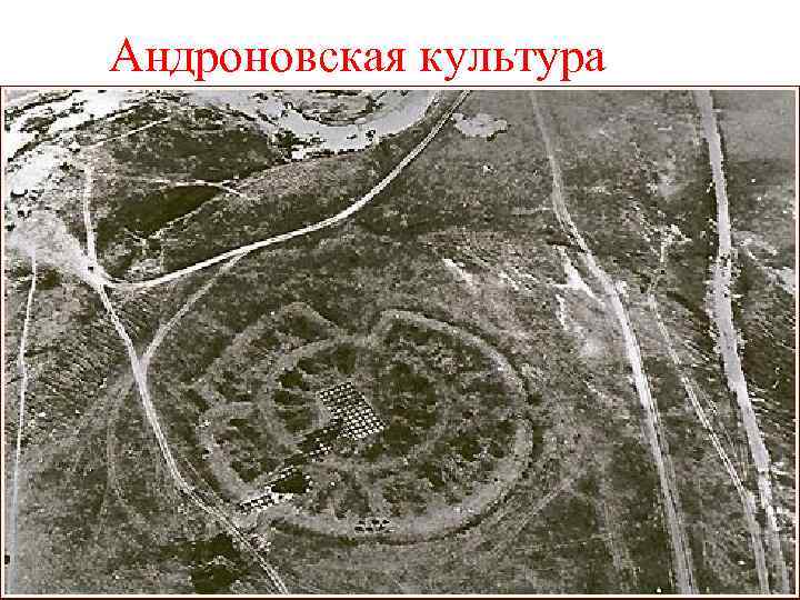 Андроновская культура 