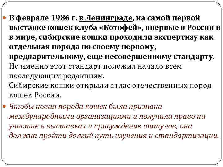  В феврале 1986 г. в Ленинграде, на самой первой выставке кошек клуба «Котофей»