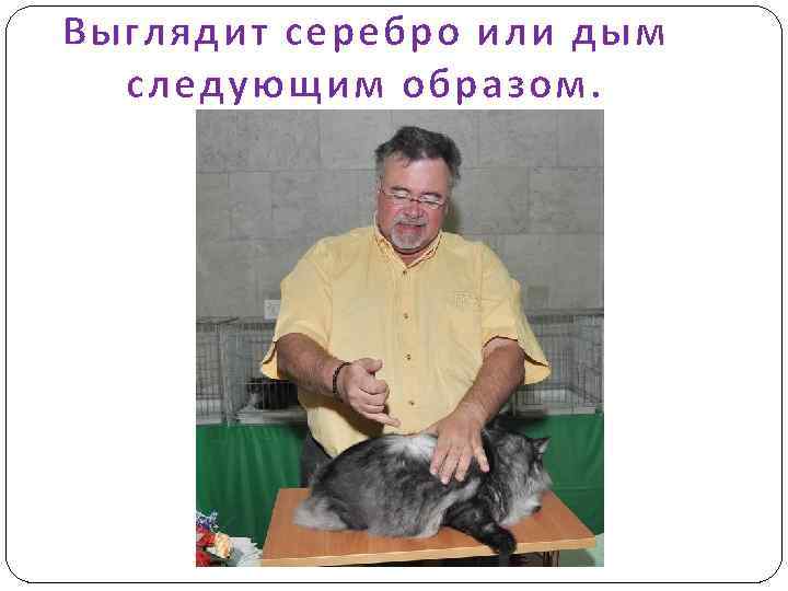 Выглядит серебро или дым следующим образом. 