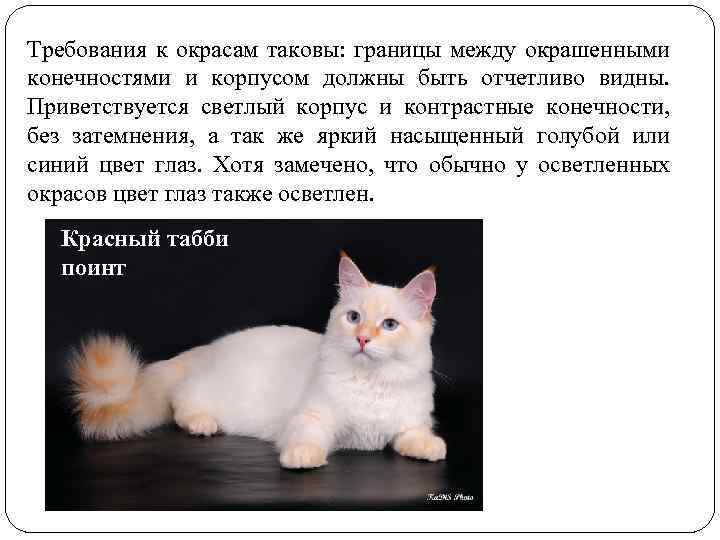 Требования к окрасам таковы: границы между окрашенными конечностями и корпусом должны быть отчетливо видны.