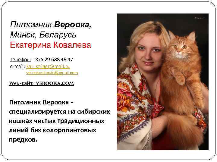 Питомник Вероока, Минск, Беларусь Екатерина Ковалева Телефон: +375 29 688 48 47 e-mail: kat_sniper@mail.