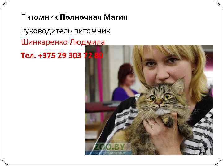 Питомник Полночная Магия Руководитель питомник Шинкаренко Людмила Тел. +375 29 303 72 80 