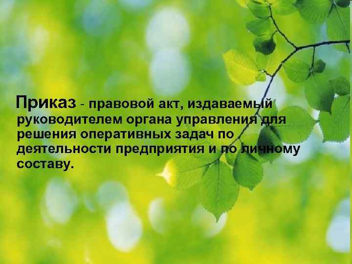  Приказ - правовой акт, издаваемый руководителем органа управления для решения оперативных задач по