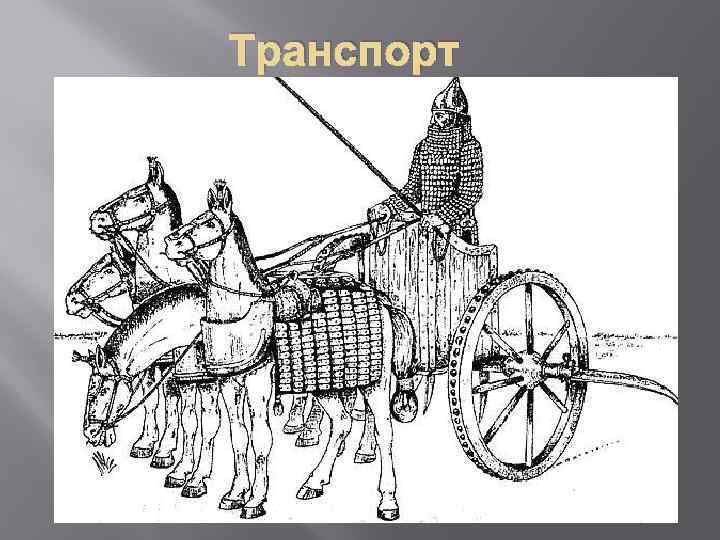 Транспорт 