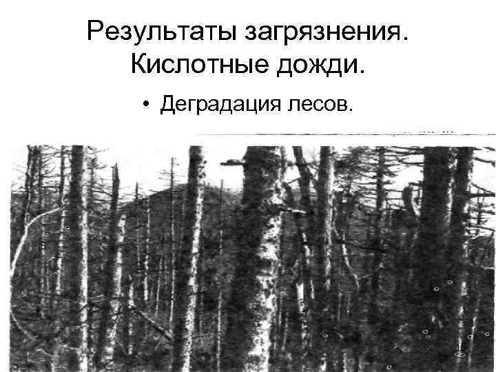 Результаты загрязнения. Кислотные дожди. • Деградация лесов. 15 