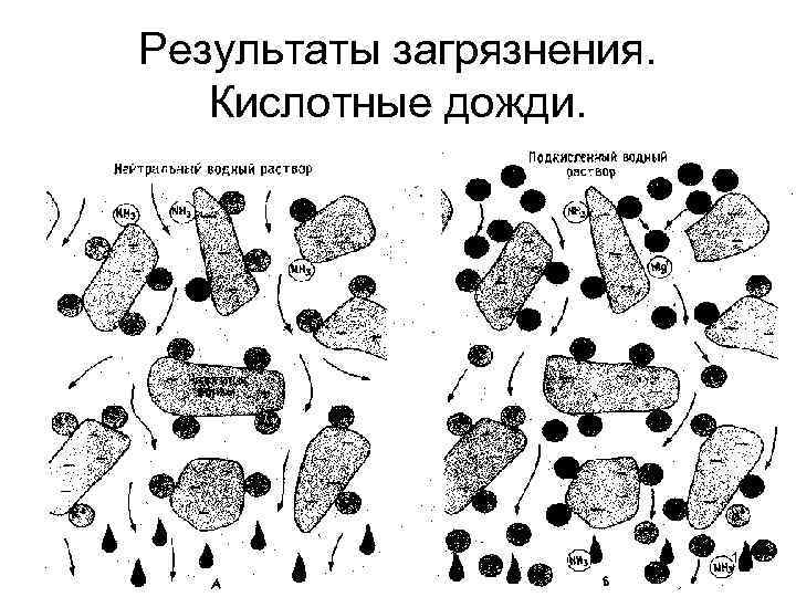 Результаты загрязнения. Кислотные дожди. 16 