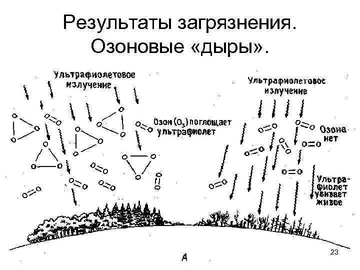 Результаты загрязнения. Озоновые «дыры» . 23 