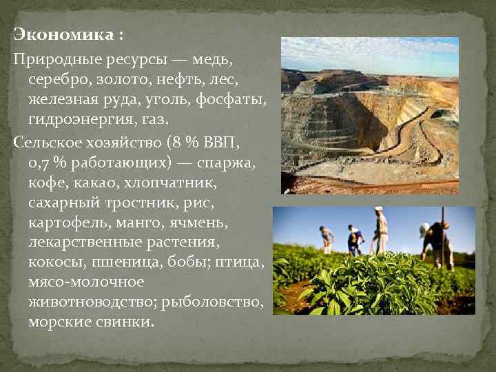 Экономика : Природные ресурсы — медь, серебро, золото, нефть, лес, железная руда, уголь, фосфаты,