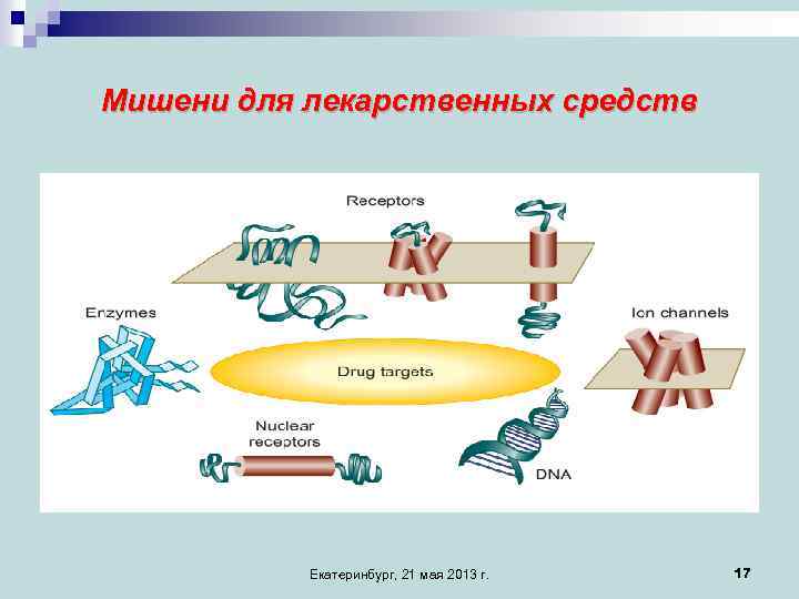 Мишени для лекарственных средств Екатеринбург, 21 мая 2013 г. 17 