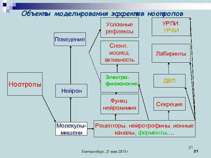 Объекты моделирования эффектов ноотропов Условные рефлексы Поведение Ноотропы УРПИ, УРАИ Спонт. исслед. активность Лабиринты