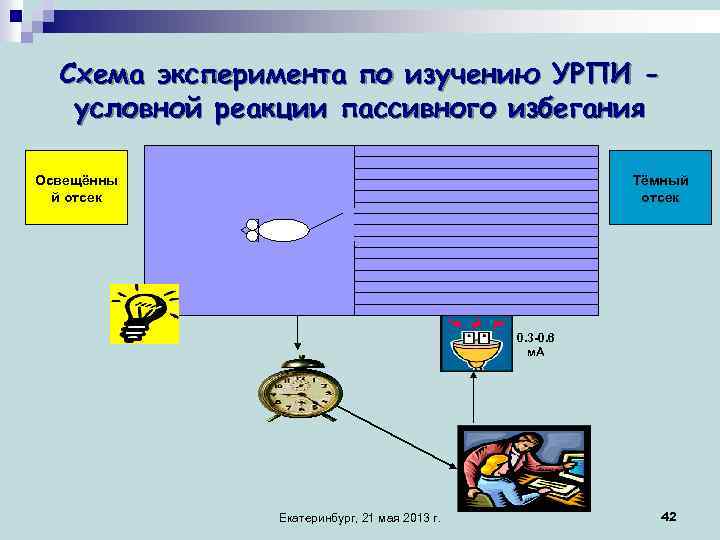 Схема эксперимента по изучению УРПИ условной реакции пассивного избегания Освещённы й отсек Тёмный отсек