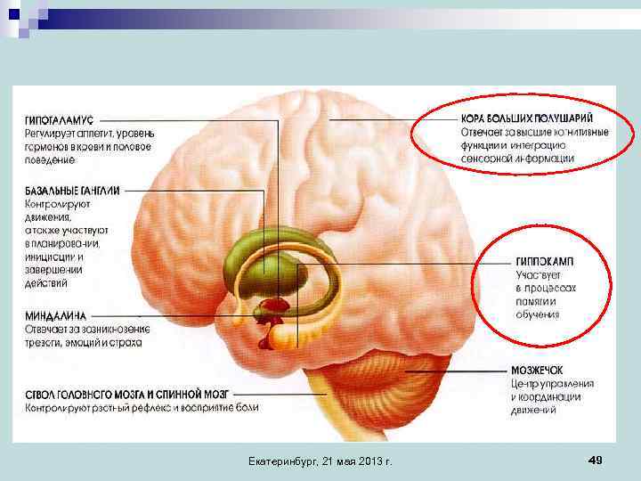 Екатеринбург, 21 мая 2013 г. 49 