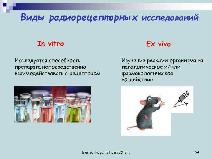Виды радиорецепторных исследований In vitro Ех vivo Исследуется способность препарата непосредственно взаимодействовать с рецептором