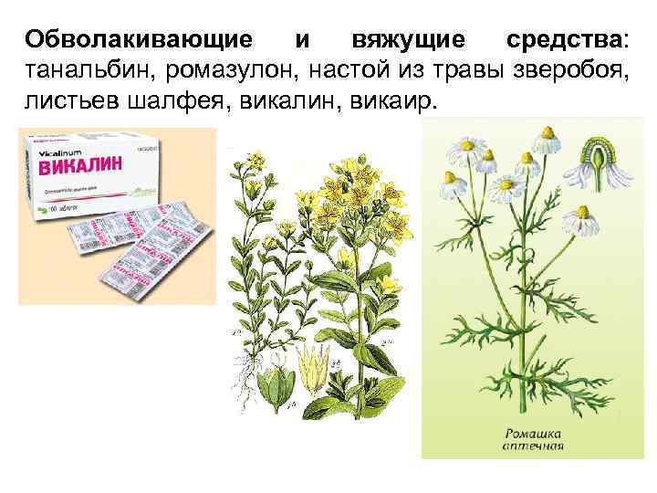 Вяжущее действие оказывают. Обволакивающие лекарственные растительные средства. Вяжущие и обволакивающие средства. Обволакивающие травы. Вяжущие и обволакивающие средства растительного происхождения.