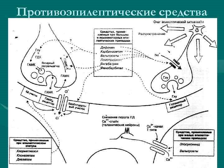 Противоэпилептические средства 