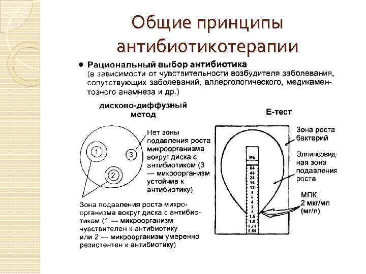 Общие принципы антибиотикотерапии 