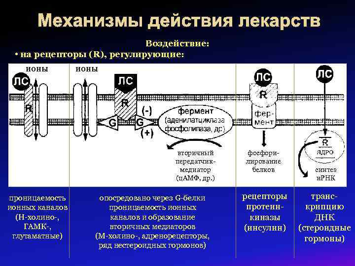 Механизмы действия лекарств Воздействие: • на рецепторы (R), регулирующие: ионы вторичный передатчикмедиатор (ц. АМФ,