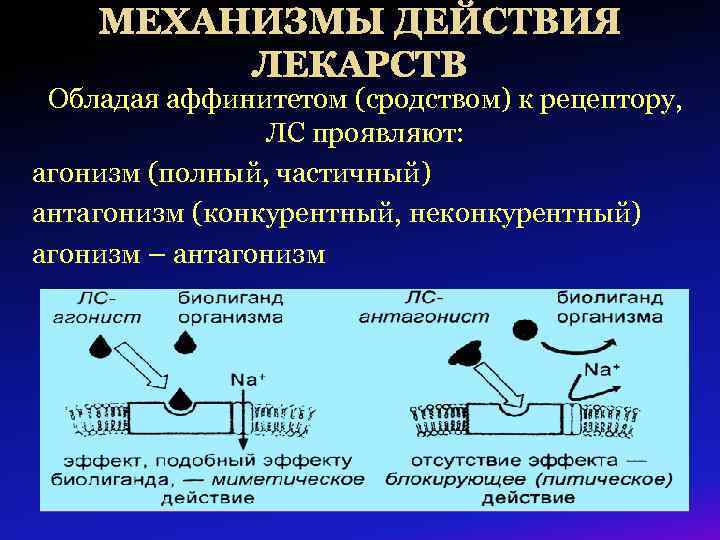МЕХАНИЗМЫ ДЕЙСТВИЯ ЛЕКАРСТВ Обладая аффинитетом (сродством) к рецептору, ЛС проявляют: агонизм (полный, частичный) антагонизм