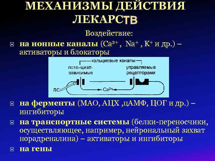 МЕХАНИЗМЫ ДЕЙСТВИЯ ЛЕКАРС ТВ Воздействие: на ионные каналы (Ca 2+ , Na+ , K+