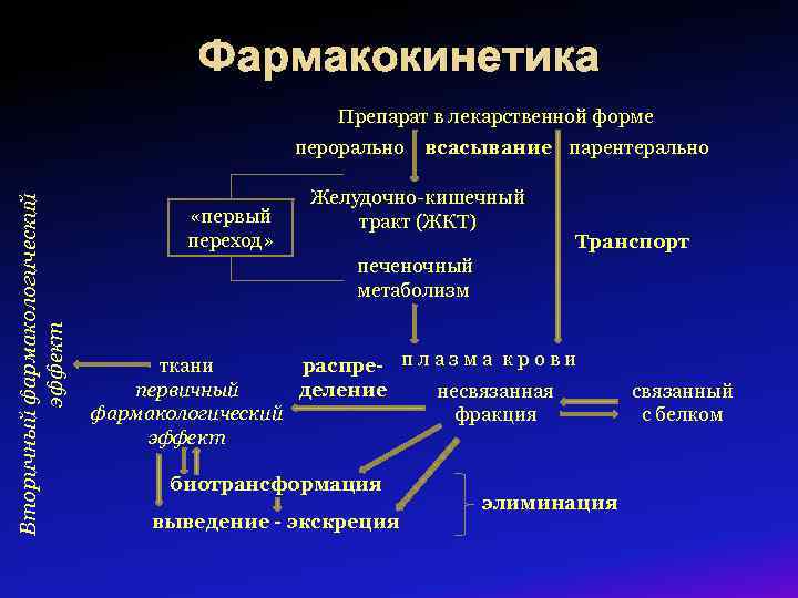Фармакокинетика Препарат в лекарственной форме Вторичный фармакологический эффект перорально «первый переход» всасывание парентерально Желудочно-кишечный