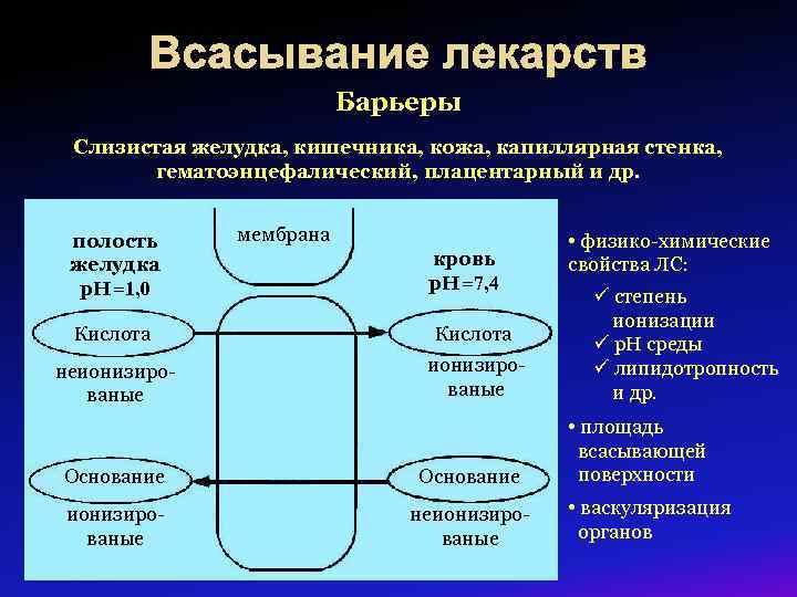 Всасывание лекарств Барьеры Слизистая желудка, кишечника, кожа, капиллярная стенка, гематоэнцефалический, плацентарный и др. полость