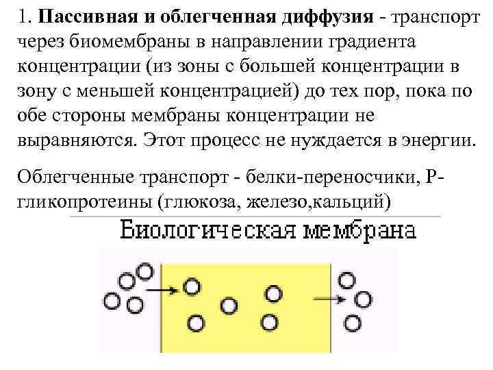 Облегченная диффузия