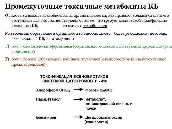 Промежуточные токсичные метаболиты КБ От входа до выхода ксенобиотика из организма клетки, как правило,