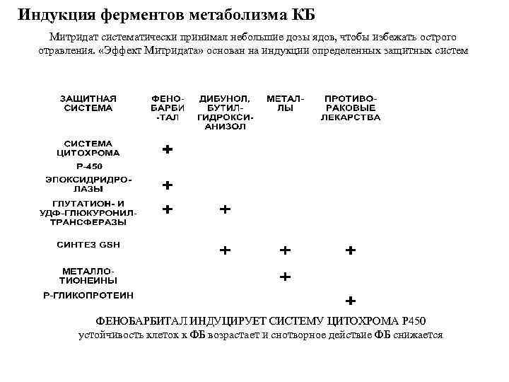 Индукция ферментов метаболизма КБ Митридат систематически принимал небольшие дозы ядов, чтобы избежать острого отравления.